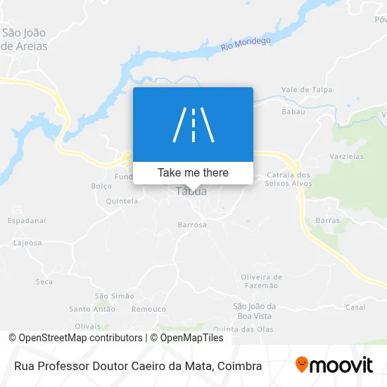 Rua Professor Doutor Caeiro da Mata map