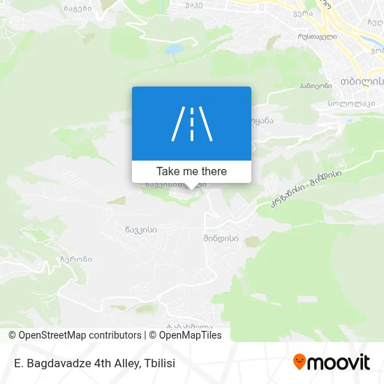 E. Bagdavadze 4th Alley map