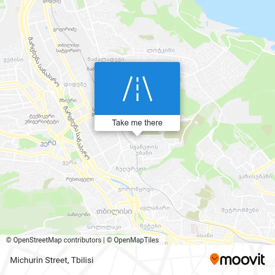 Michurin Street map