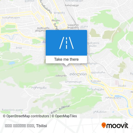 ზაალ ქიქოძის ქუჩა map