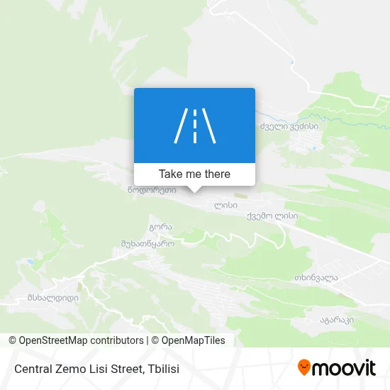 Central Zemo Lisi Street map