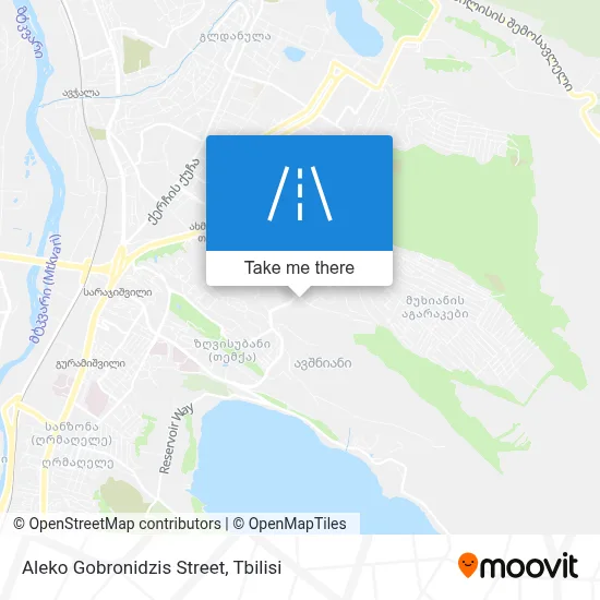 Aleko Gobronidzis Street map