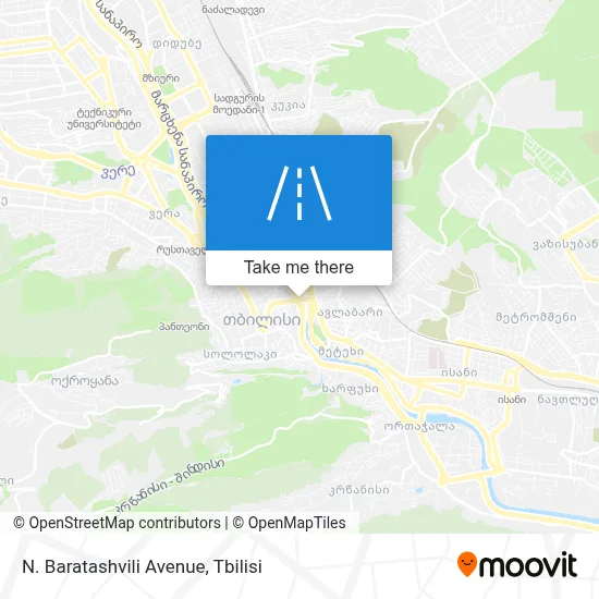 N. Baratashvili Avenue map
