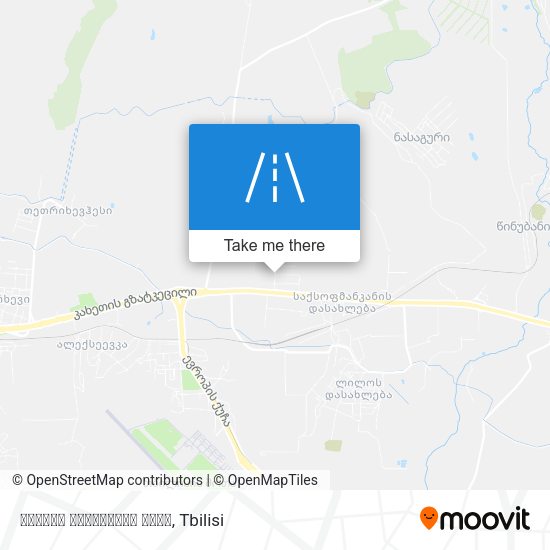 გიორგი ჩიკვაიძის ქუჩა map
