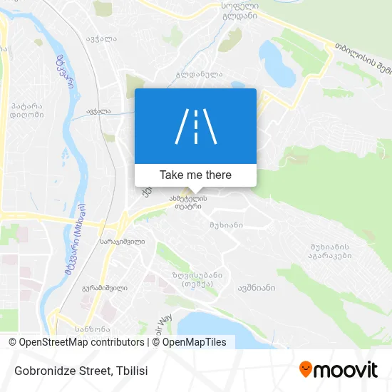 Gobronidze Street map