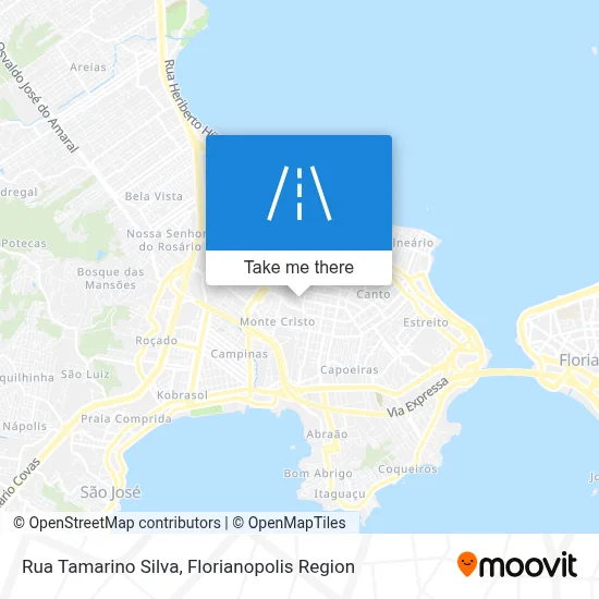 Rua Tamarino Silva map