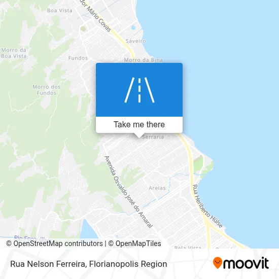 Rua Nelson Ferreira map