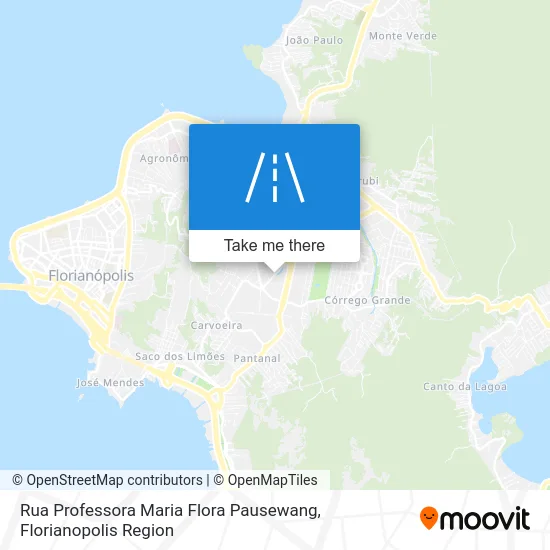 Rua Professora Maria Flora Pausewang map