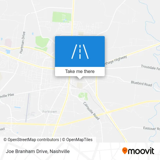 Joe Branham Drive map