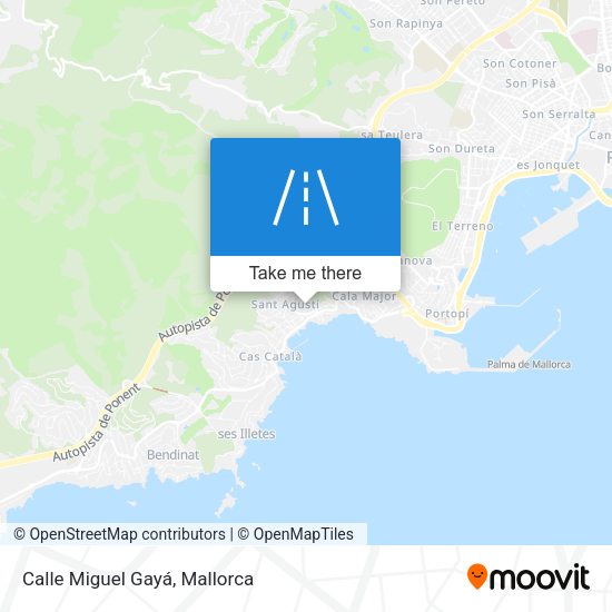 Calle Miguel Gayá map