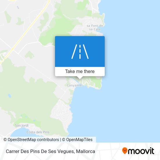 Carrer Des Pins De Ses Vegues map