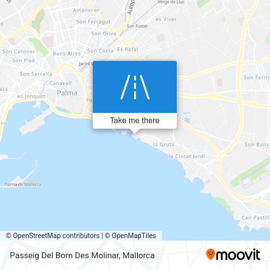 Passeig Del Born Des Molinar map