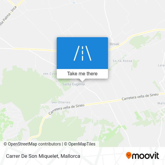 Carrer De Son Miquelet map