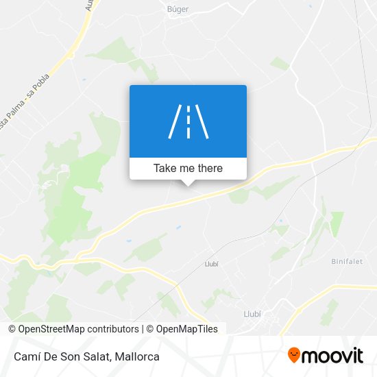 Camí De Son Salat map