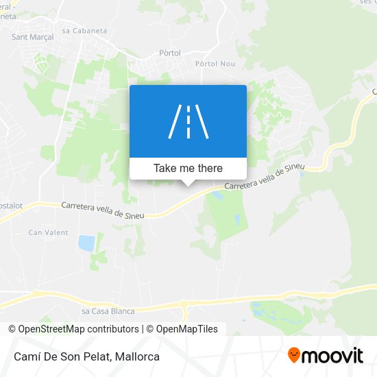 Camí De Son Pelat map