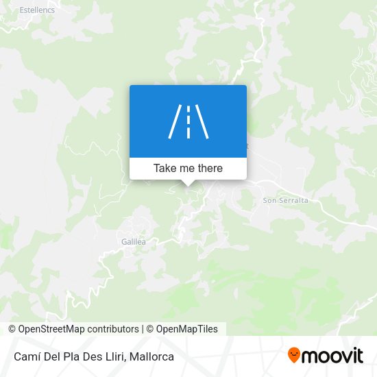 Camí Del Pla Des Lliri map