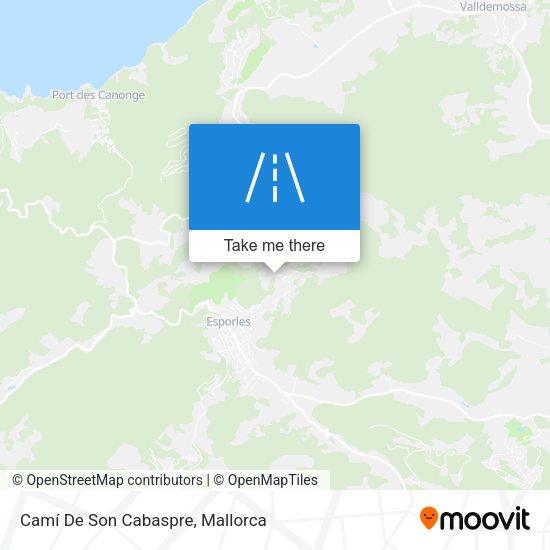 Camí De Son Cabaspre map