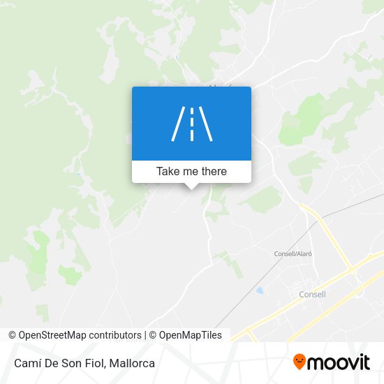 Camí De Son Fiol map