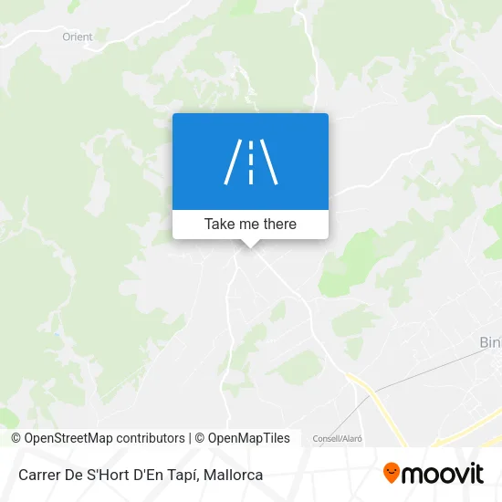 Carrer De S'Hort D'En Tapí map