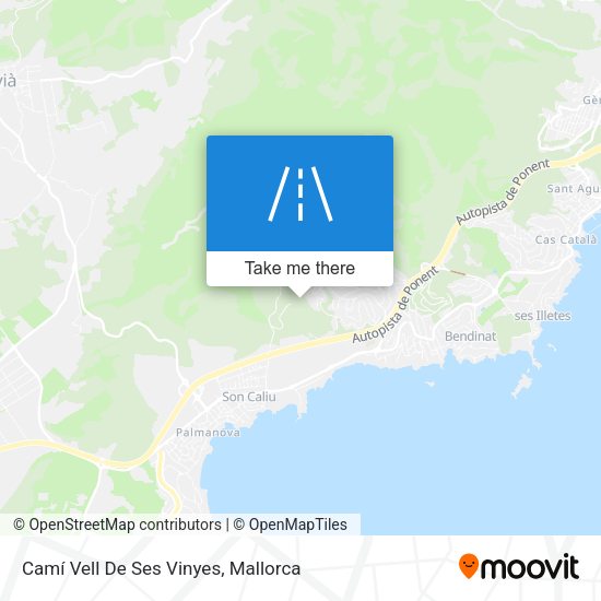 Camí Vell De Ses Vinyes map