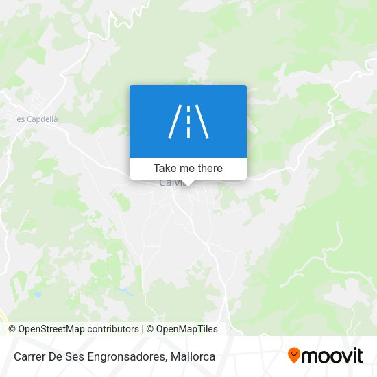 Carrer De Ses Engronsadores map