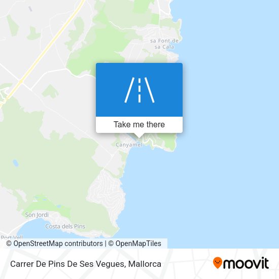 Carrer De Pins De Ses Vegues map