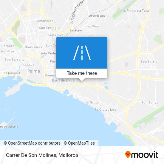 Carrer De Son Molines map