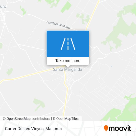 Carrer De Les Vinyes map