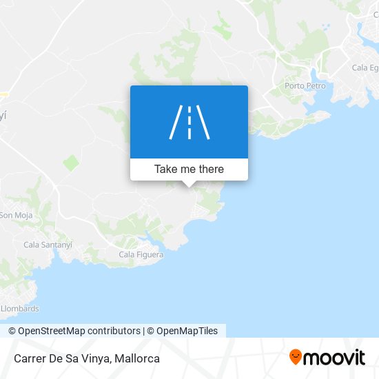 Carrer De Sa Vinya map