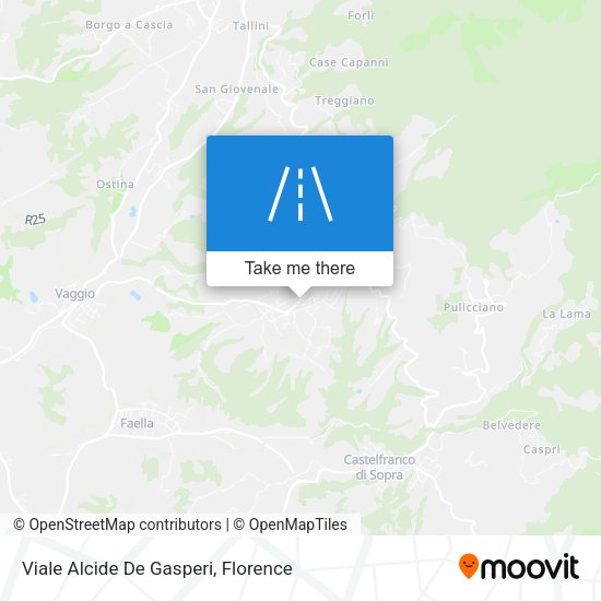 Viale Alcide De Gasperi map