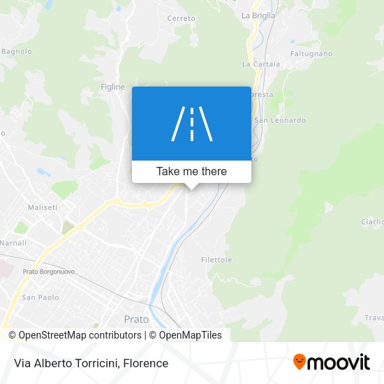 Via Alberto Torricini map