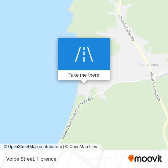 Volpe Street map
