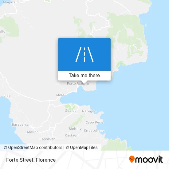 Forte Street map