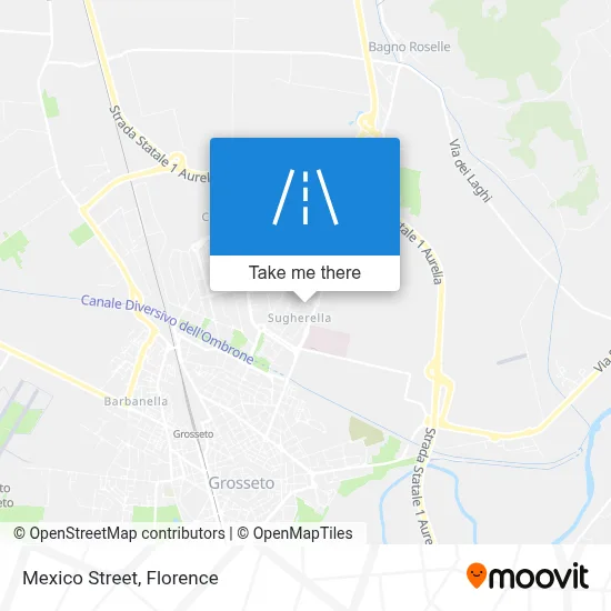 Mexico Street map