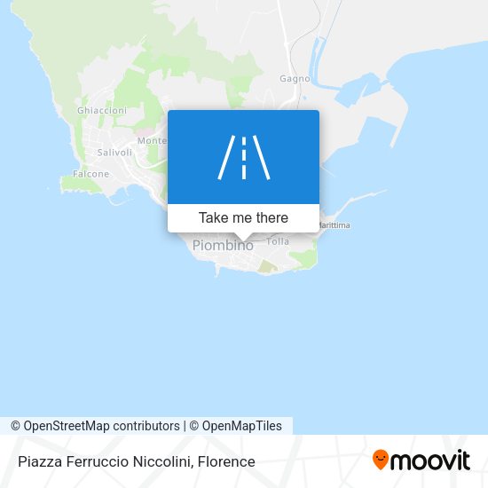 Piazza Ferruccio Niccolini map