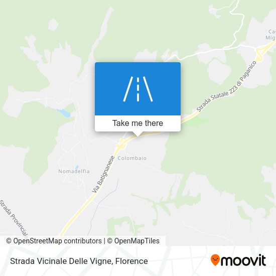 Strada Vicinale Delle Vigne map
