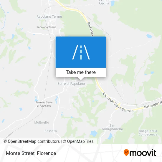 Monte Street map