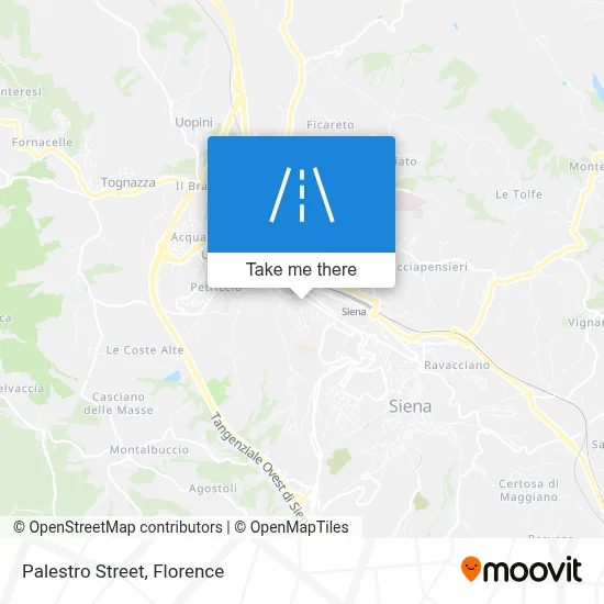Palestro Street map