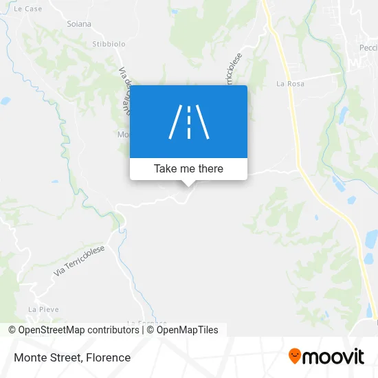 Monte Street map