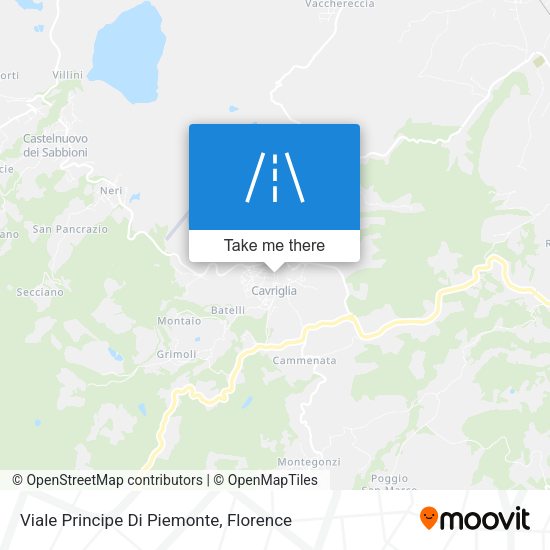 Viale Principe Di Piemonte map