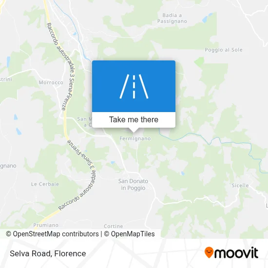Selva Road map
