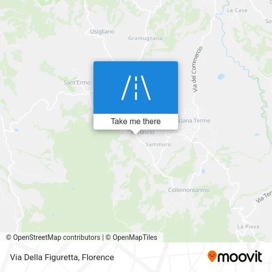 Via Della Figuretta map