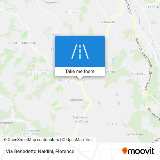 Via Benedetto Naldini map