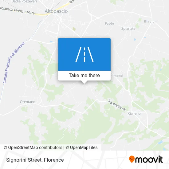 Signorini Street map