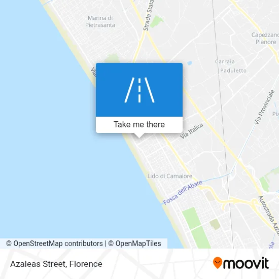 Azaleas Street map