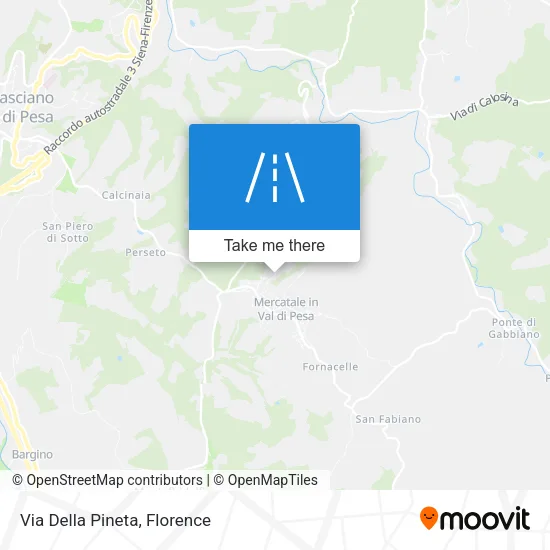 Via Della Pineta map