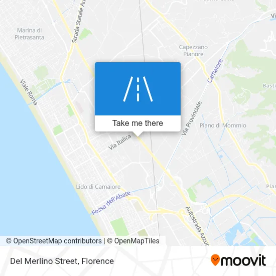 Del Merlino Street map