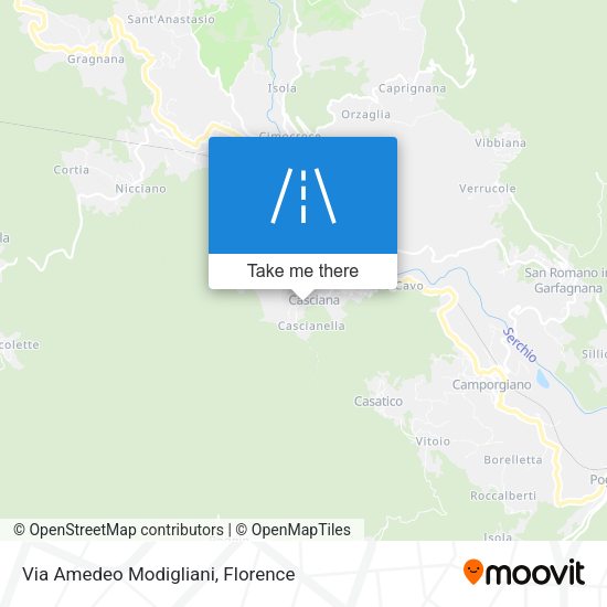 Via Amedeo Modigliani map