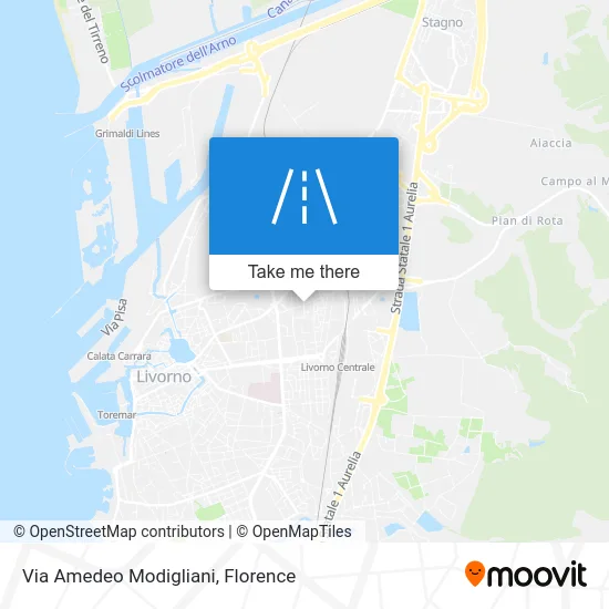 Via Amedeo Modigliani map