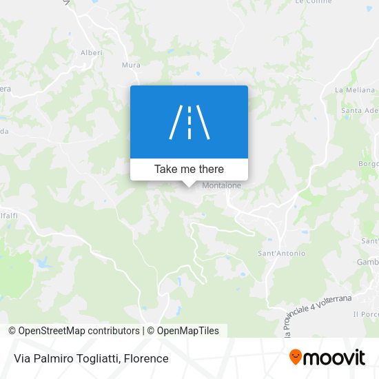Via Palmiro Togliatti map